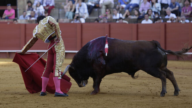 El diestro mexicano Leo Valadez, en un natural al segundo novillo de la tarde, ayer, en la plaza de toros de Sevilla.