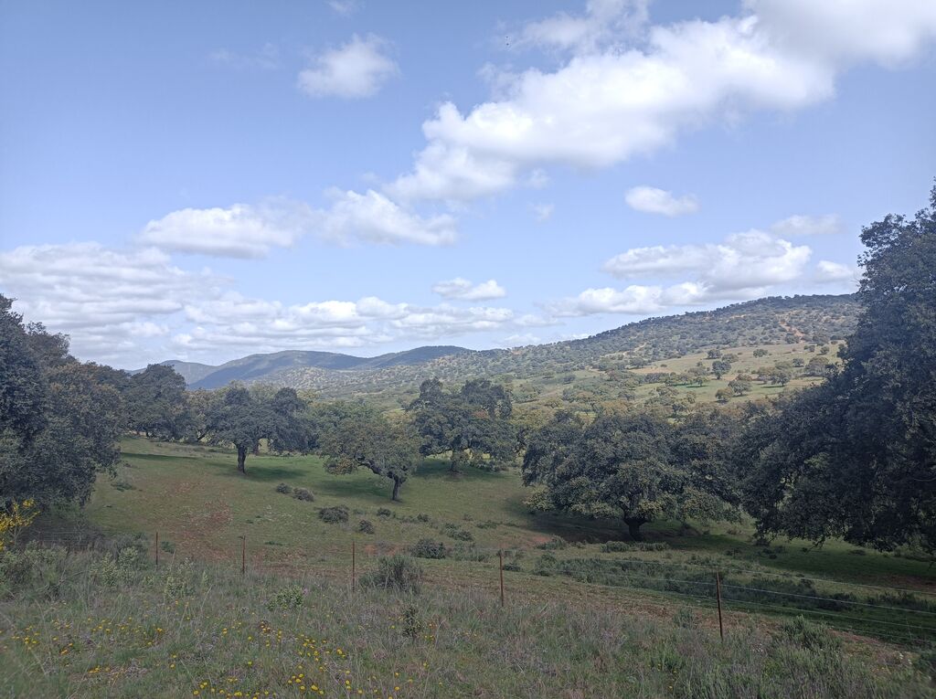 Vistas de la Sierra del Pimpollar.