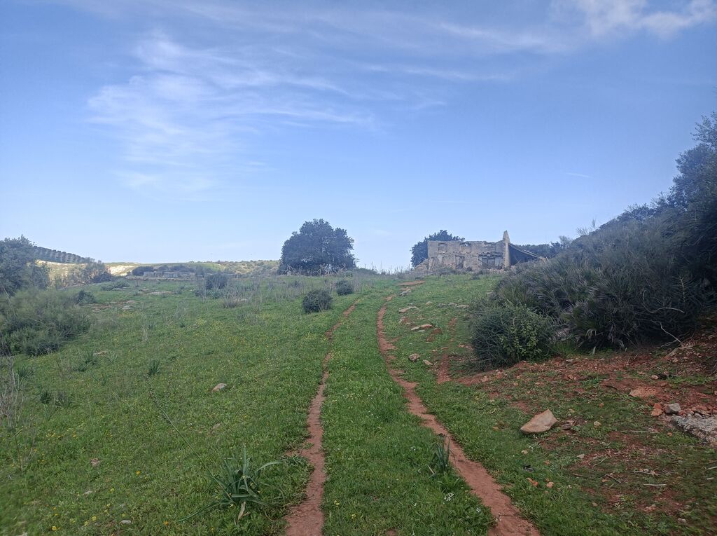 Ruinas del Cortijo de la Cabrera Alta.