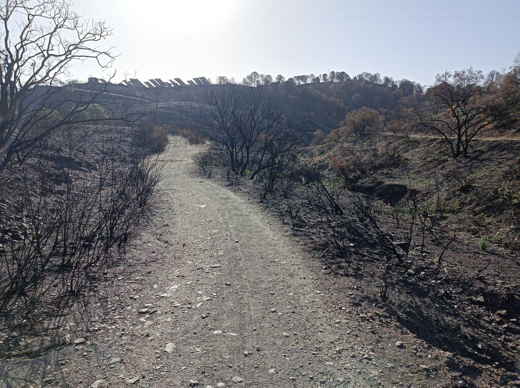Otra muestra del paisaje quemado por incendios recientes. Una pena.