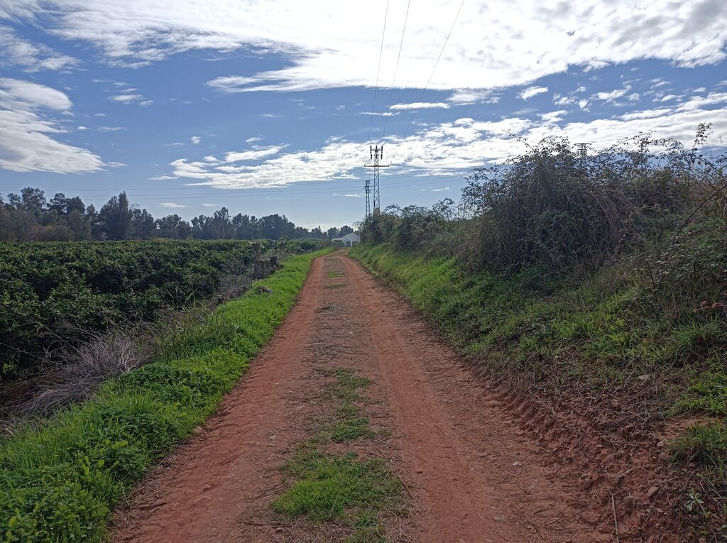 El c&oacute;modo Camino de las Huertas del Viar.